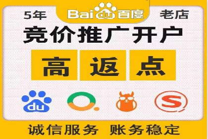 SEM代运营服务公司成功案例解析